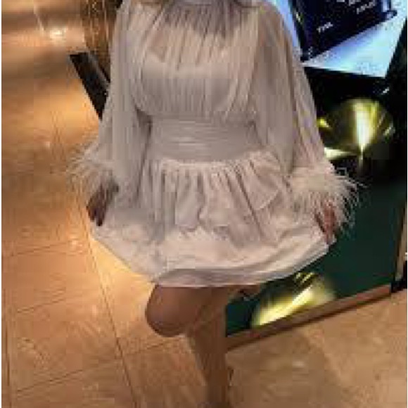 Loves A Metallic Chiffon Feather Trim Ruched Dress - STUNNING! MSPR 159 - Picture 7 of 9